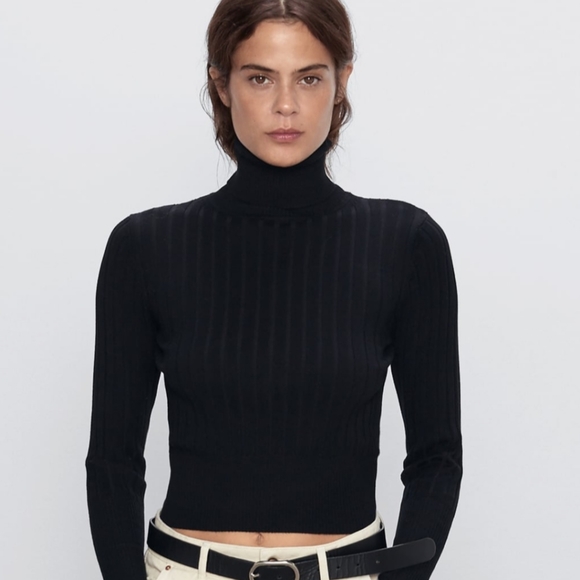 Zara Sweaters - NEW NEVER WORN ZARA CROP TNECK